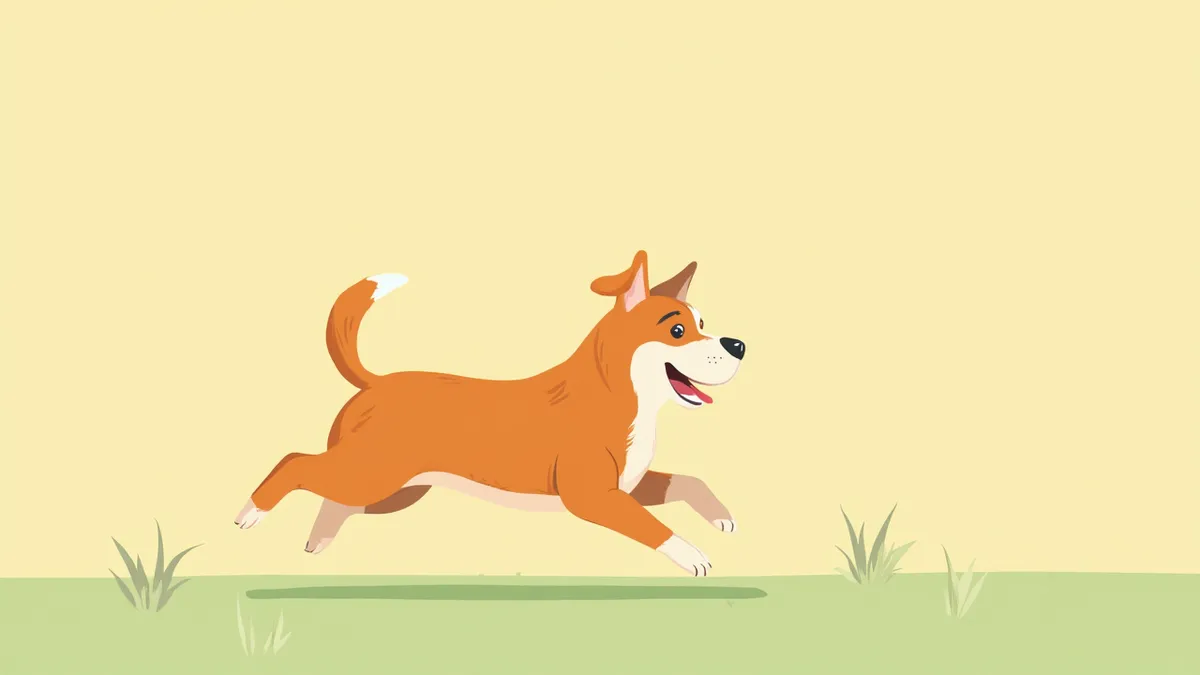 건강하게 뛰노는 1-3세 성견의 모습