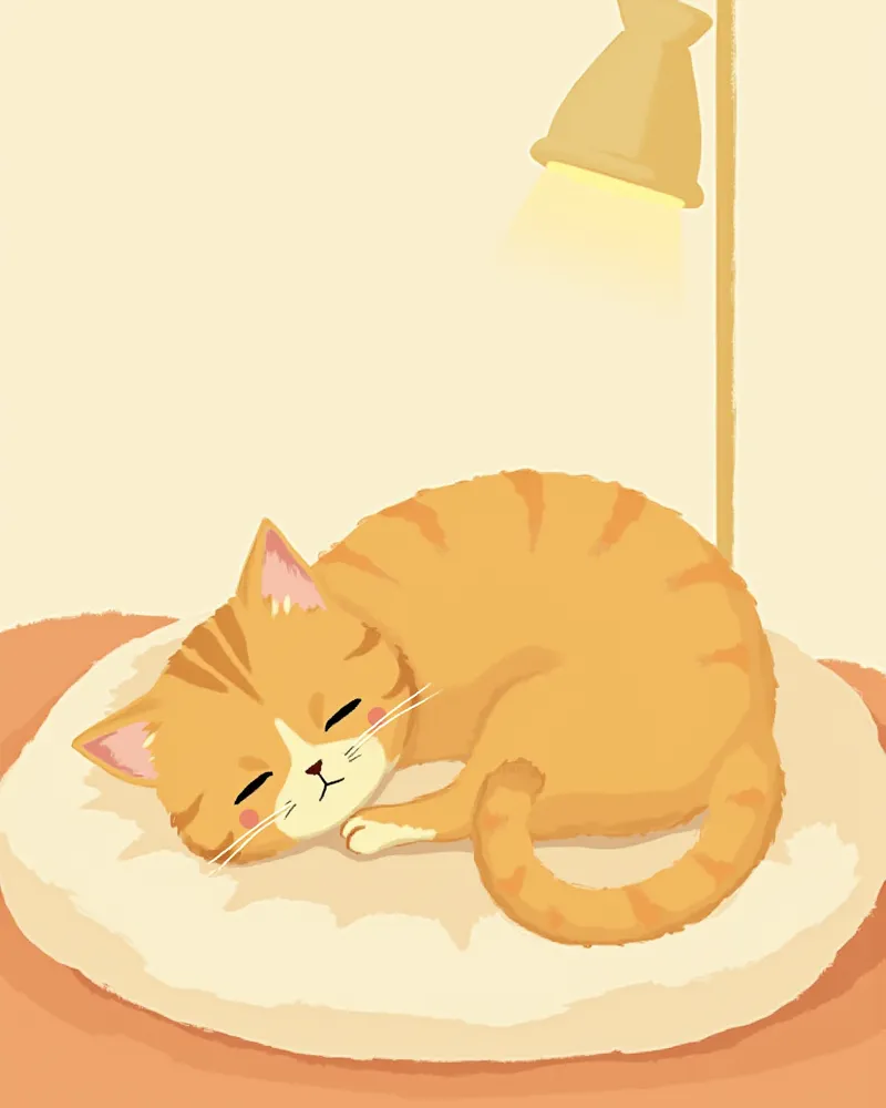 쿠션 위에 몸을 웅크리고 눈을 반쯤 감고 있는 고양이