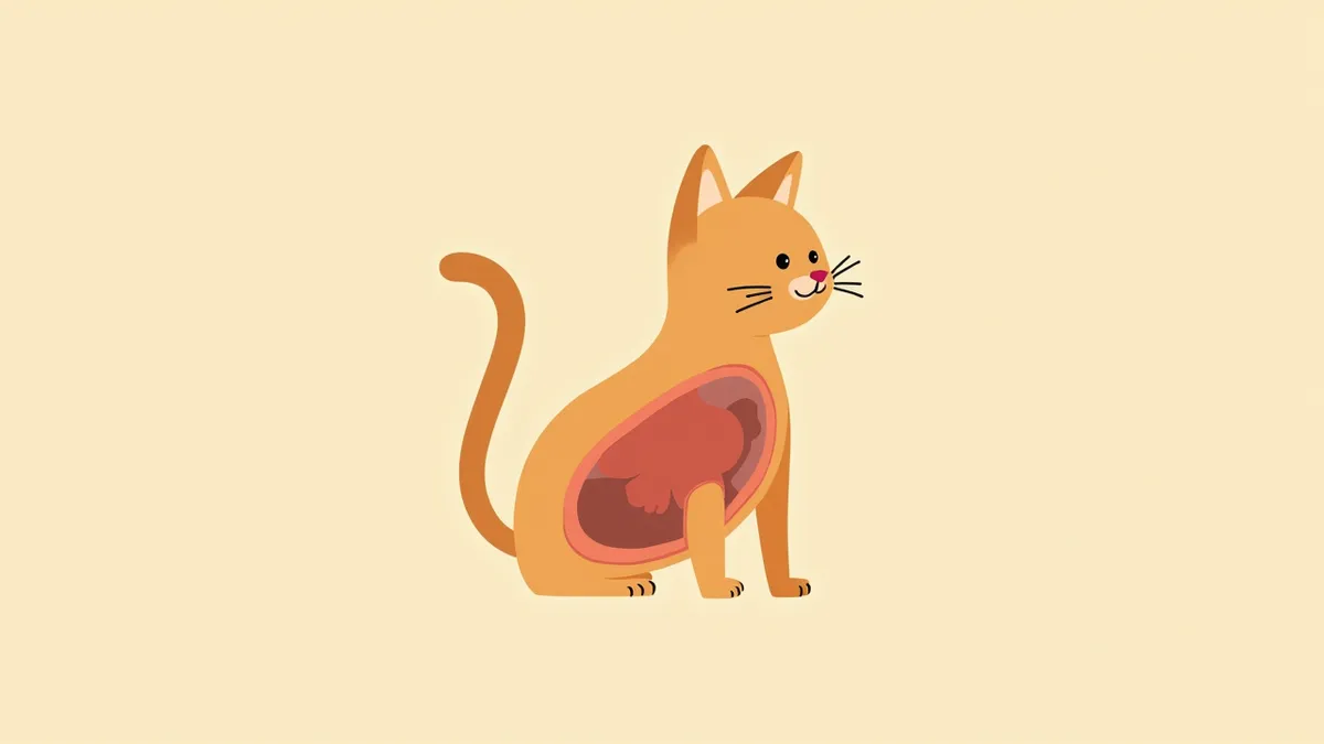 고양이 유미흉의 흉강 내 림프액 축적 상태