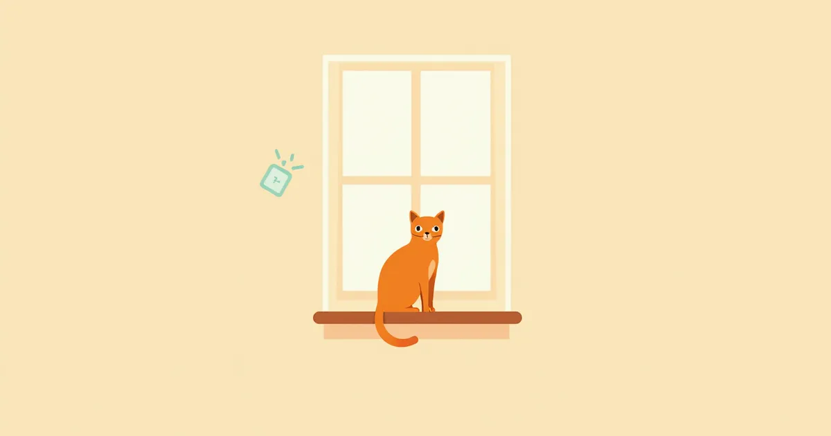 고양이 에키노코쿠스 관리 추천 BEST와 고르는 기준 총정리