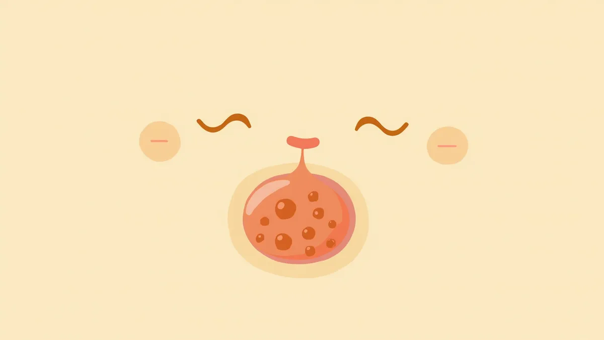 고양이 림프종의 세포 구조를 보여주는 이미지