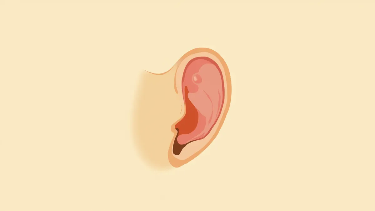 고양이 귀의 편평세포암 발생 위치 설명도