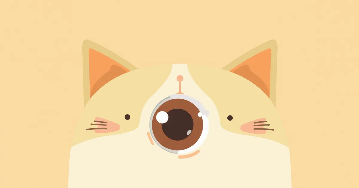 고양이 포도막염 관리 추천 BEST와 고르는 기준 총정리