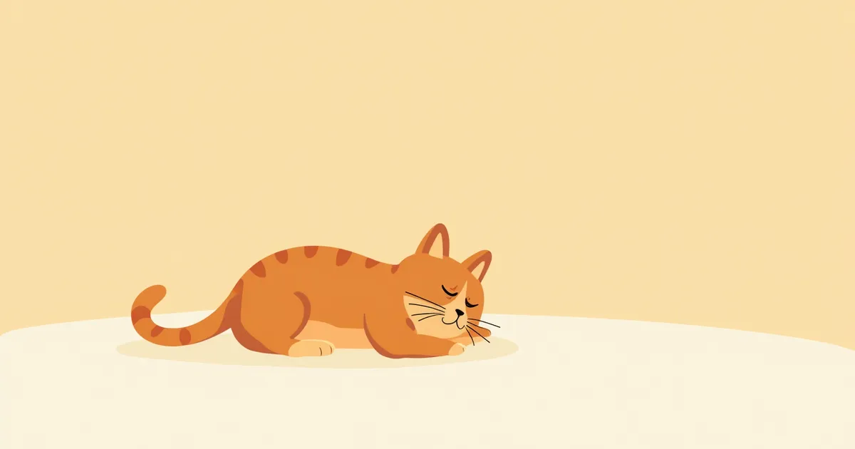고양이 기관지 확장제 증상과 원인, 진단·치료와 관리 포인트 총정리