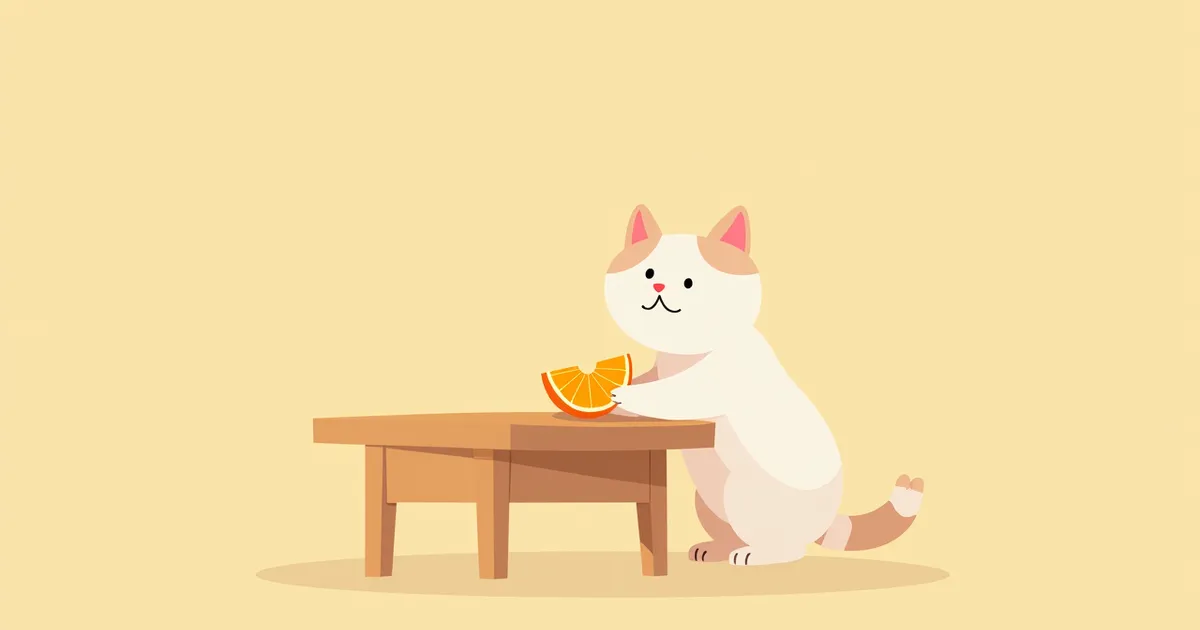 고양이 오렌지 먹어도 될까? 급여 시 주의점 총정리