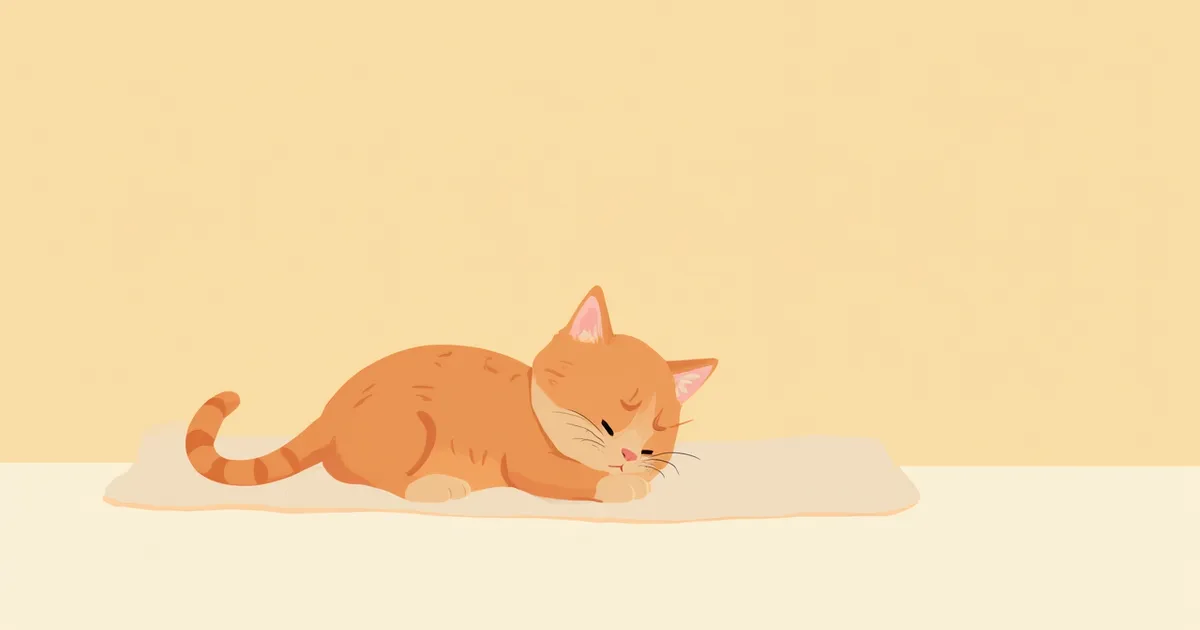 아기 고양이 콕시디아 — 만성 설사 원인과 치료 가이드