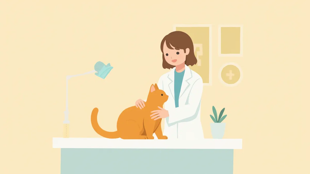 동물병원 진료대 위에 앉아 있는 고양이