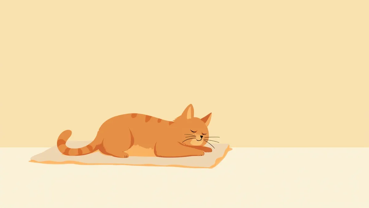울혈성심부전 초기 증상을 보이는 고양이
