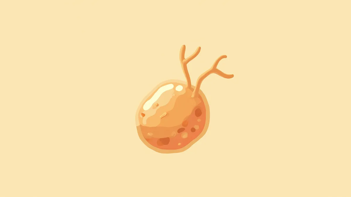 크립토스포리디움 오오시스트의 현미경 이미지
