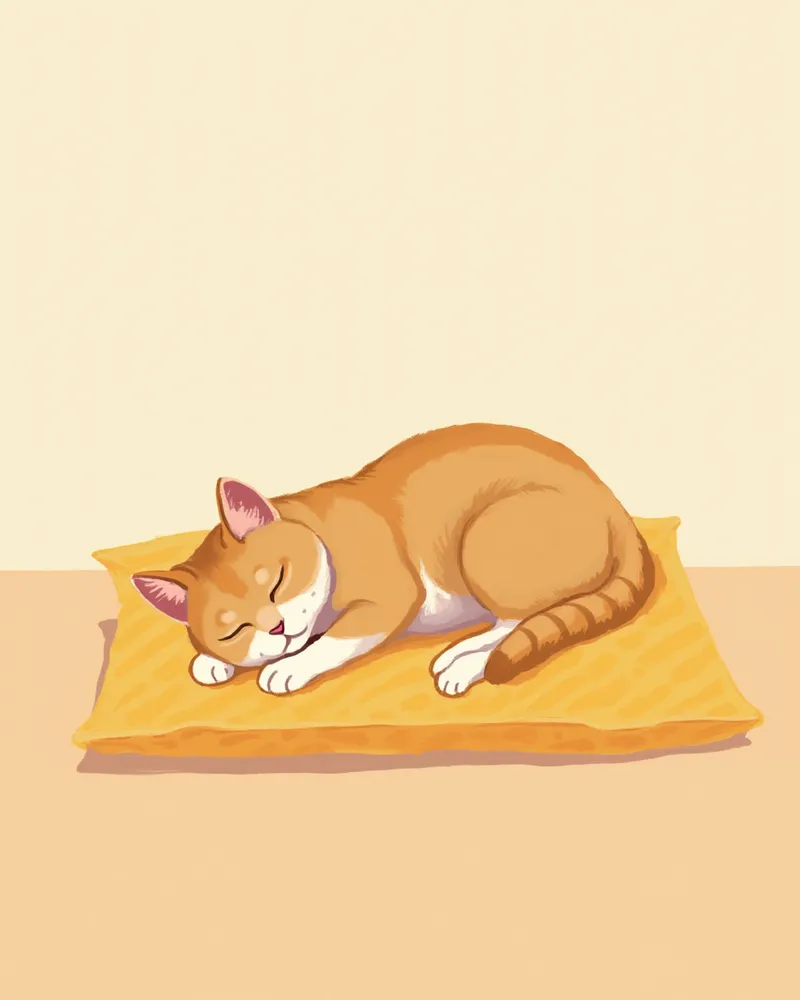 잠든 고양이의 호흡을 관찰하는 보호자