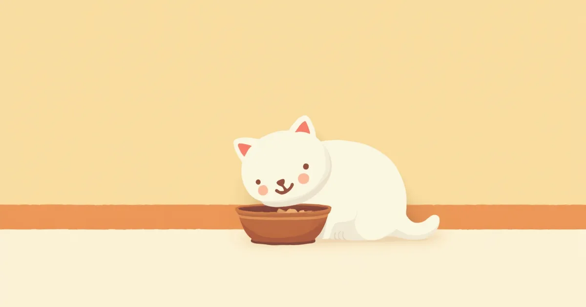 고양이 식사 시간과 횟수, 하루 몇 번이 적당할까?