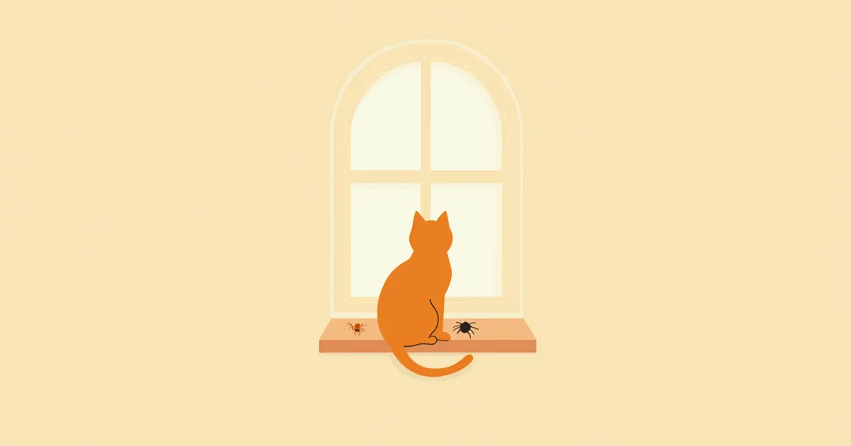 고양이 외부기생충 예방(진드기·벼룩) 자주 묻는 질문 Q&A — 보호자가 꼭 알아야 할 핵심