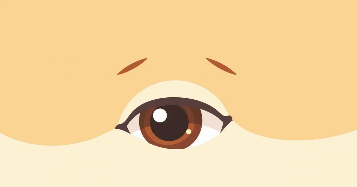 고양이 안검내반(눈꺼풀 말림) 자주 묻는 질문 Q&A — 보호자가 꼭 알아야 할 핵심