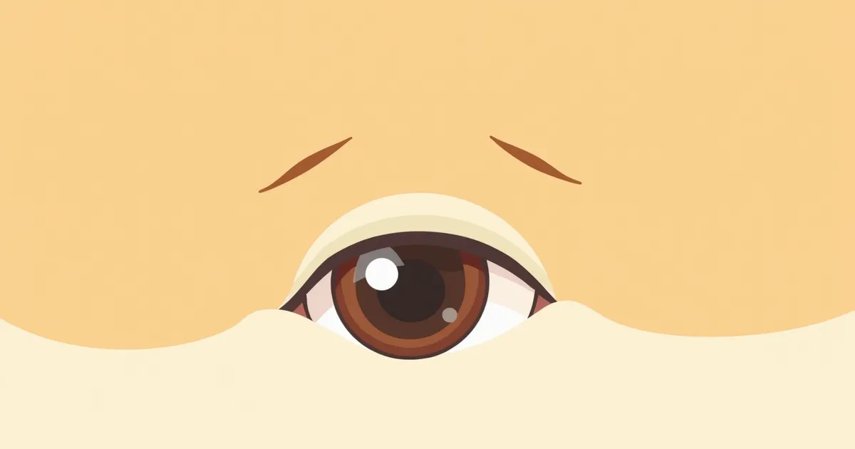 고양이 안검내반(눈꺼풀 말림) 증상과 원인, 진단·치료와 관리 포인트 총정리