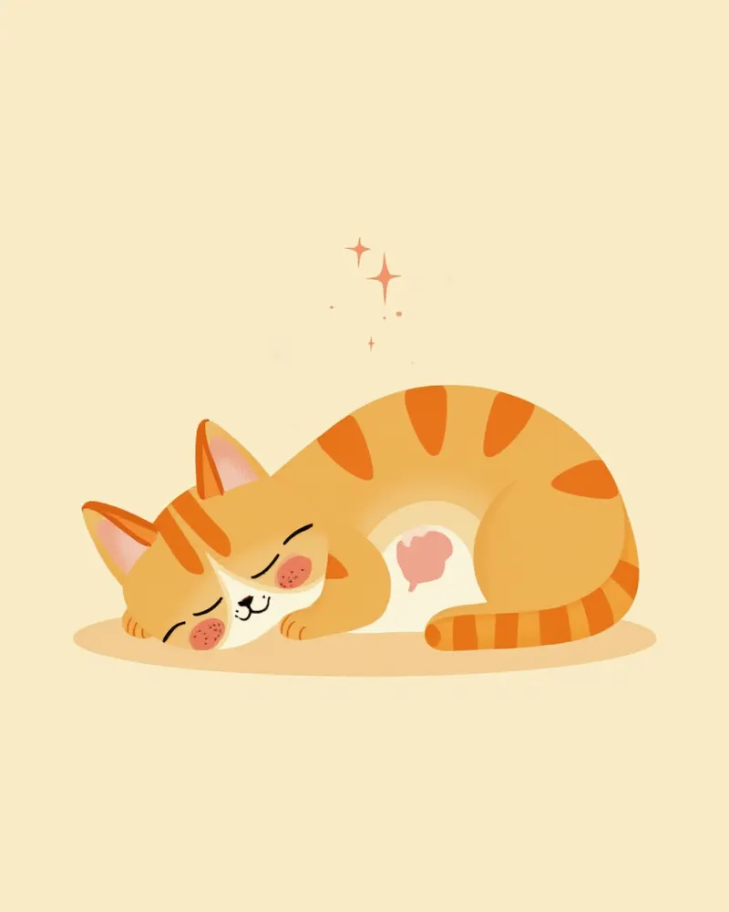 복막염 주요 증상 포인트가 표시된 고양이