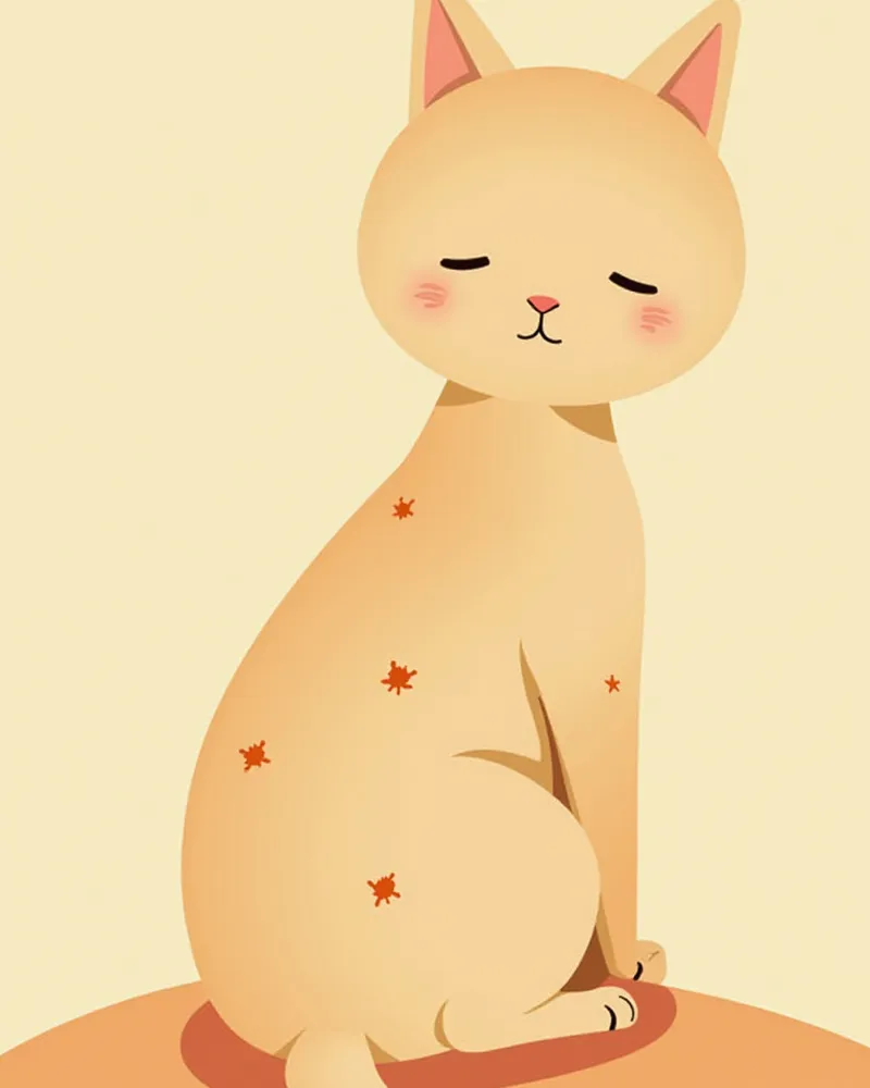 고양이 등쪽에 딱지와 탈모가 생긴 모습, 피부 위에 벼룩이 보임