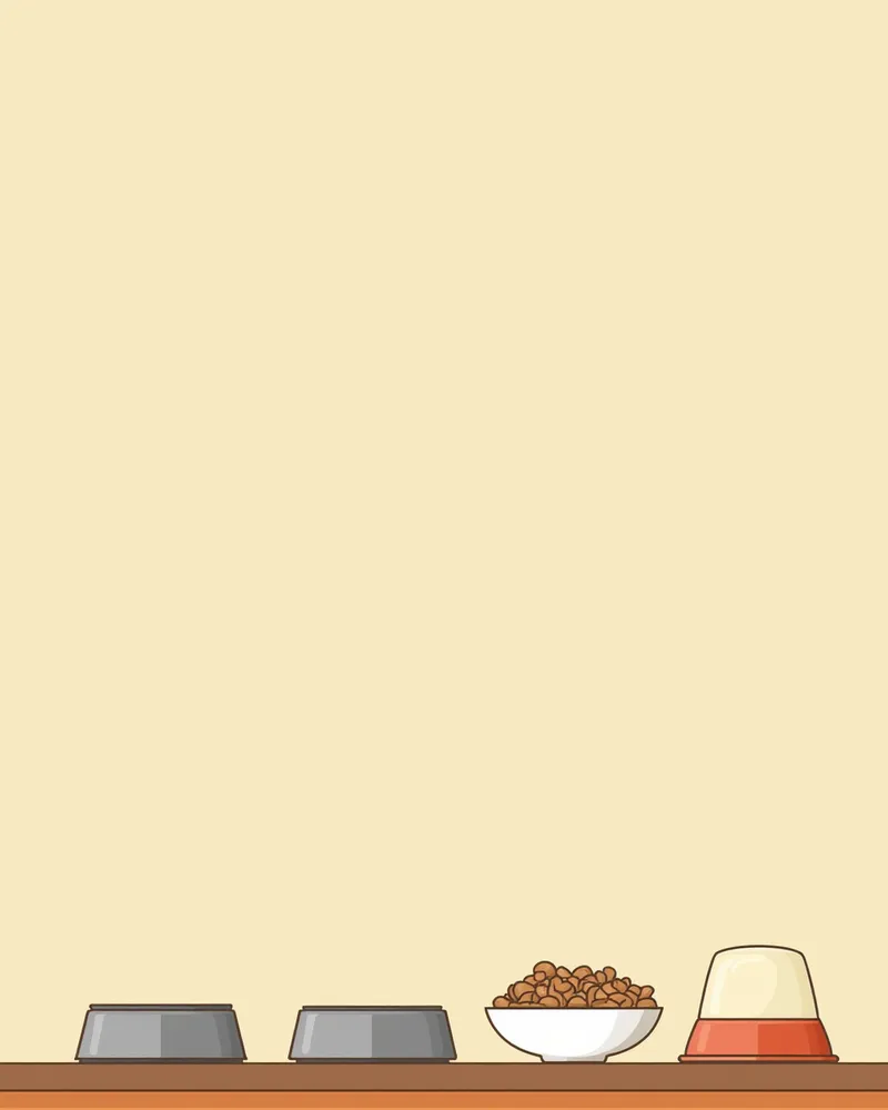 네 가지 재질의 고양이 밥그릇 비교 이미지