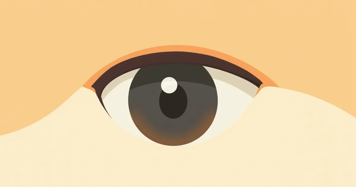 고양이 녹내장 약물·수술 치료 증상과 원인, 진단·치료와 관리 포인트 총정리