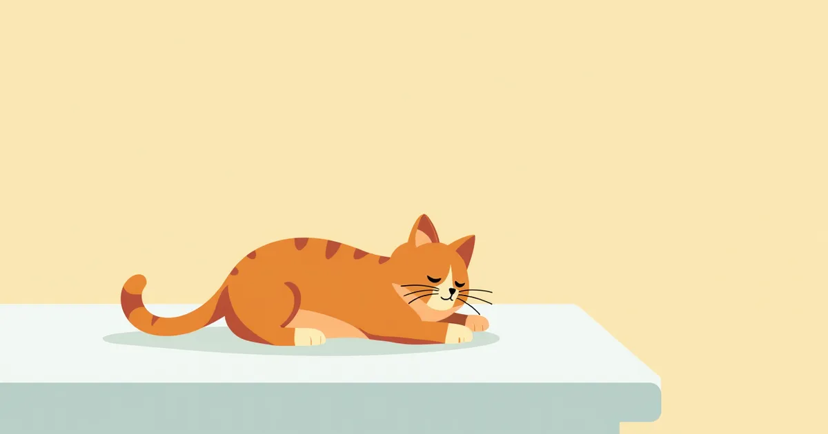 고양이 수신증 증상과 원인, 진단·치료와 관리 포인트 총정리