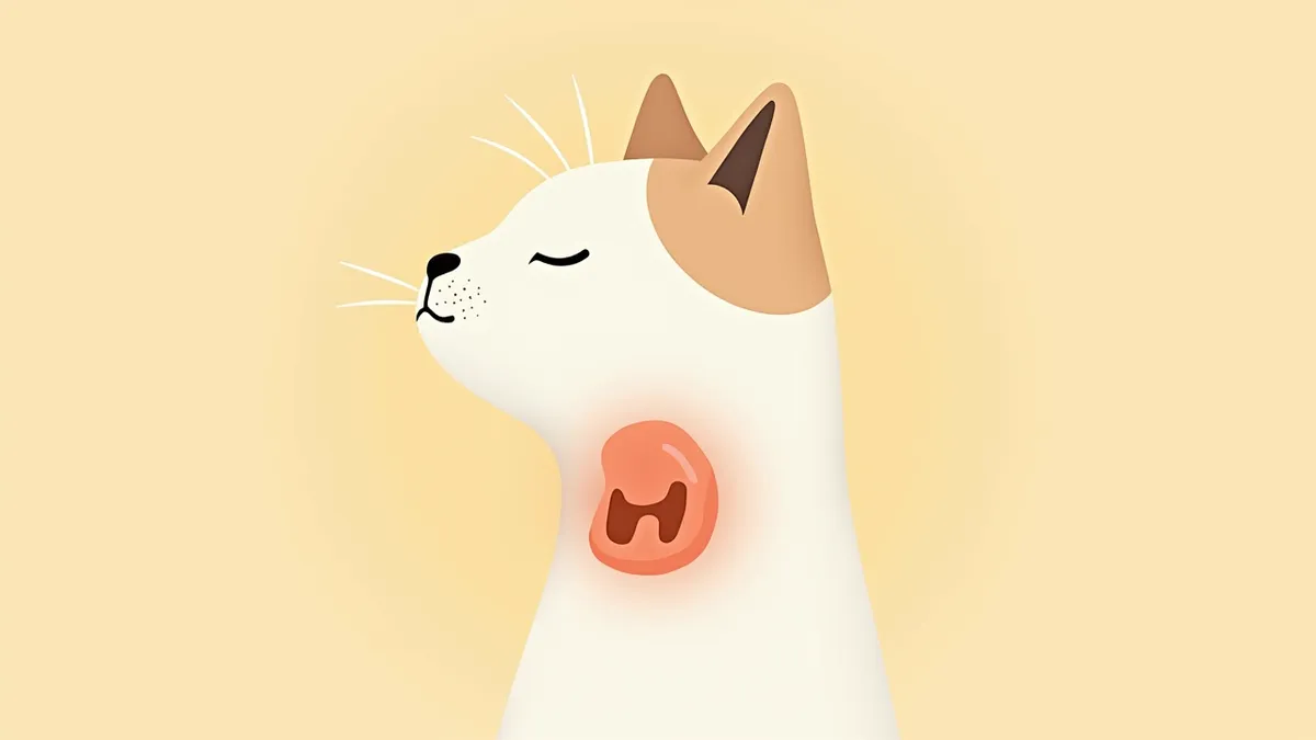 고양이 부갑상선 위치를 보여주는 해부학적 이미지