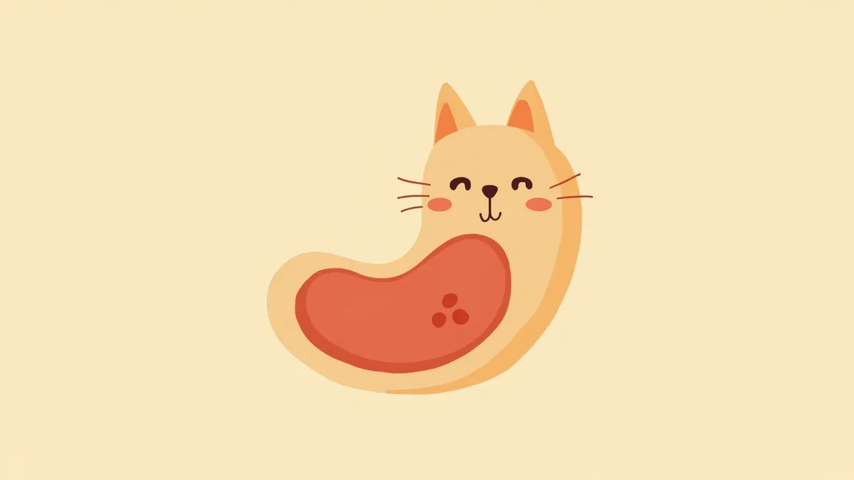 고양이 췌장에 생긴 인슐린종 종양의 해부학적 이미지