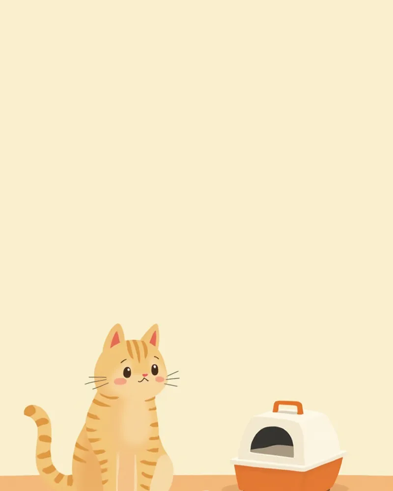 화장실 옆에 앉아 있는 고양이와 체크리스트 이미지