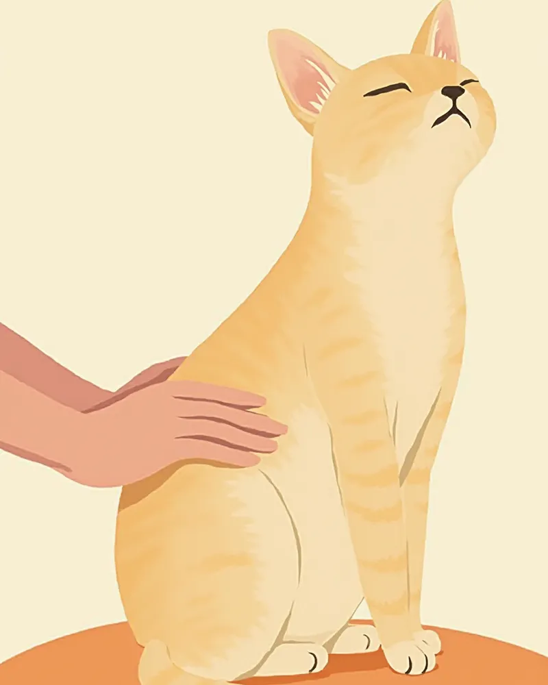 보호자가 집에서 고양이의 배를 부드럽게 만져 멍울을 확인하는 모습