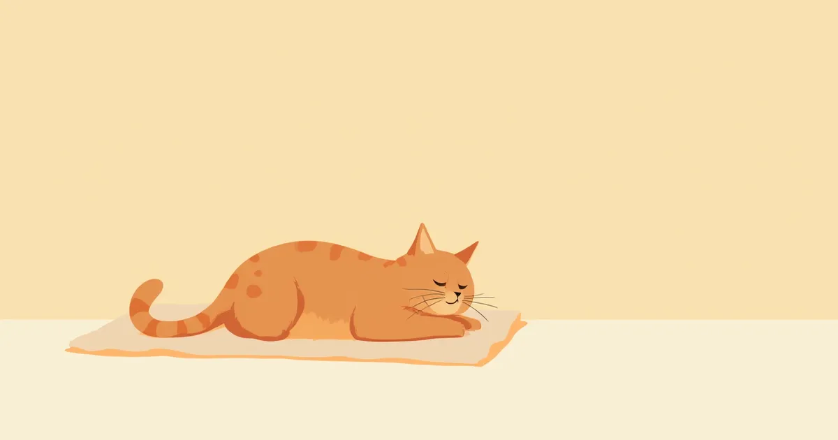 고양이 비만세포종 초기 증상과 진단·치료, 예후와 관리 가이드