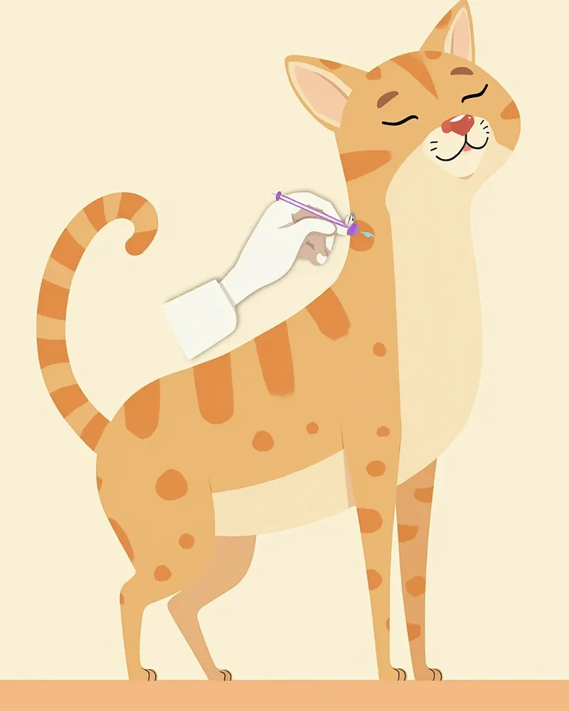 고양이 목덜미에 바름약을 바르는 수의사