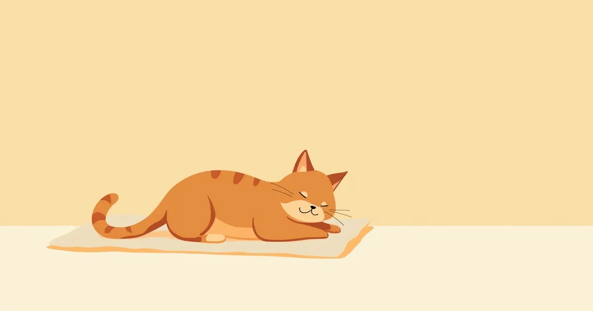 고양이 중성화 수술 최적 시기 자주 묻는 질문 Q&A — 보호자가 꼭 알아야 할 핵심