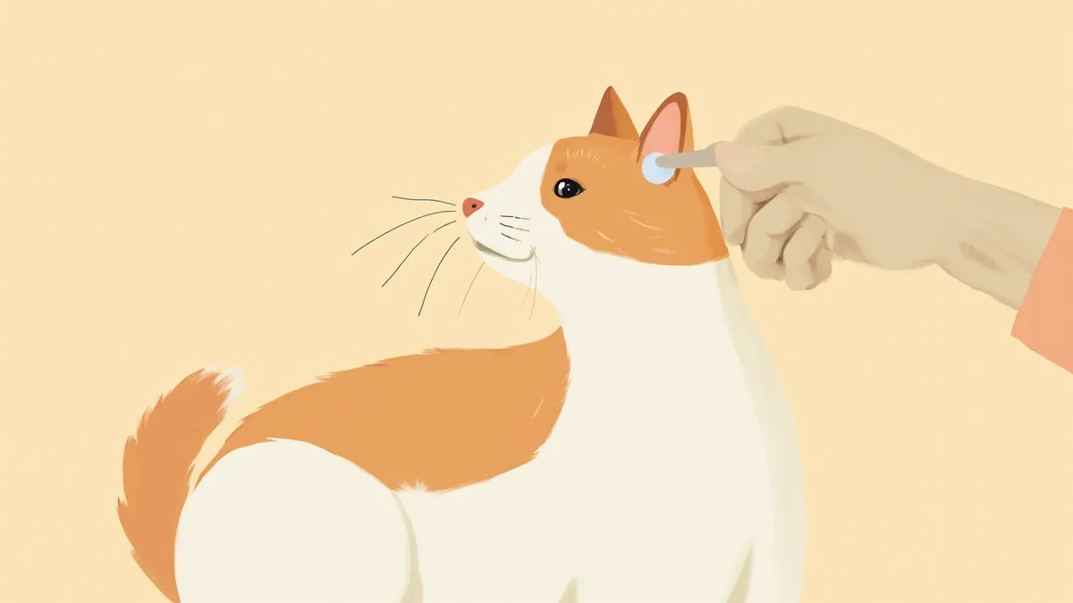 수의사가 고양이의 귀를 부드럽게 진찰하는 모습