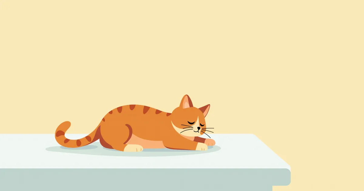 고양이 폐혈전색전증 증상과 원인, 진단·치료와 관리 포인트 총정리