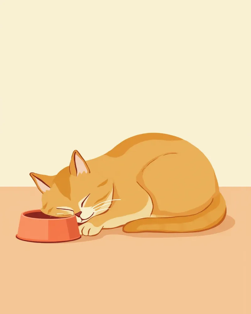 물그릇 옆에서 쉬고 있는 아비시니안 고양이