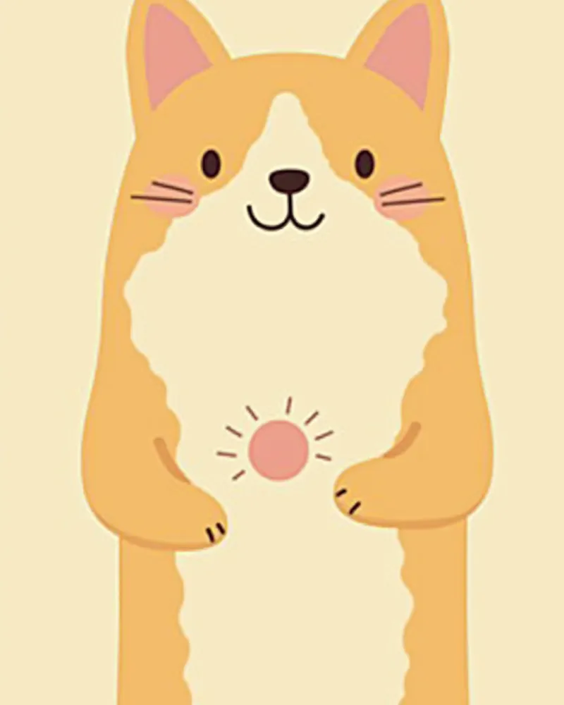 고양이 유선에 생긴 덩어리 사진
