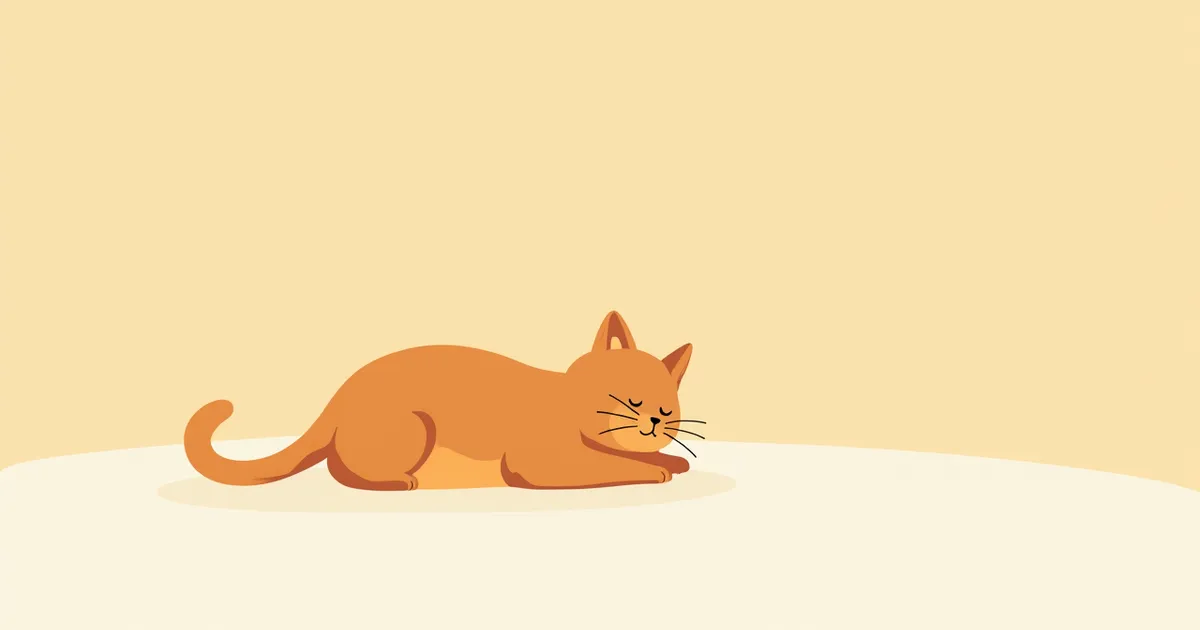 고양이 중성화 수술 장단점 증상과 원인, 진단·치료와 관리 포인트 총정리