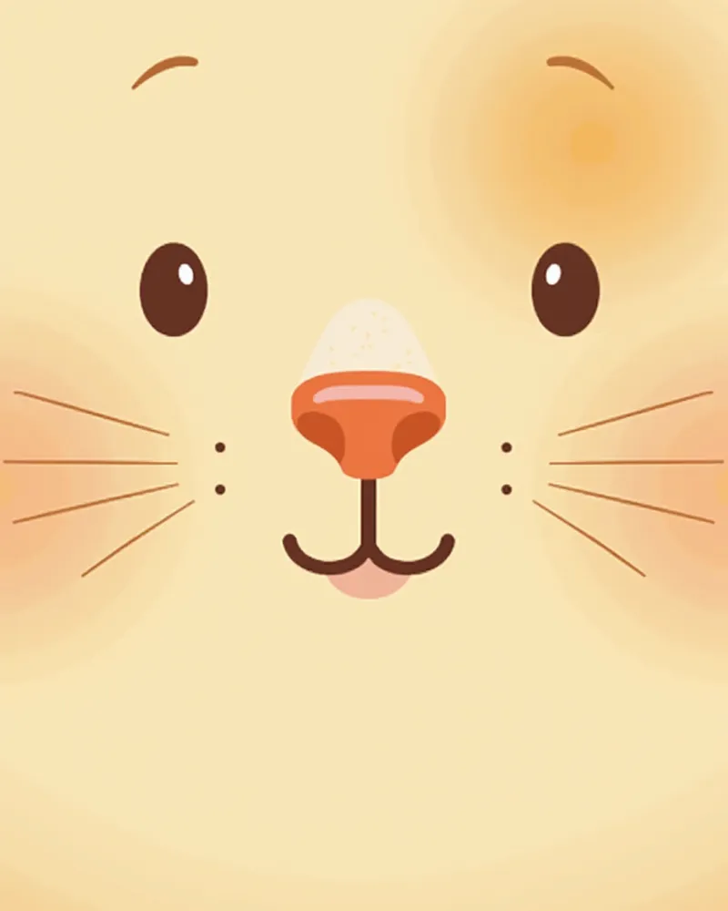 코에 궤양과 각질이 생긴 고양이 코 근처