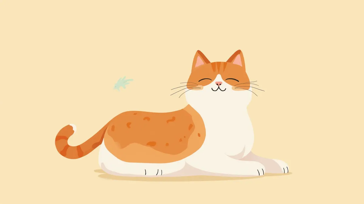 보호자가 고양이 등쪽 털을 젖혀 탈모 부위를 확인하는 모습