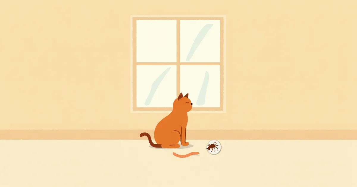 고양이 촌충(테이프웜) 자주 묻는 질문 Q&A — 보호자가 꼭 알아야 할 핵심