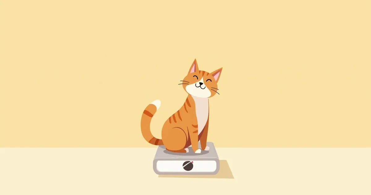 고양이 체중·비만 예방 관리 자주 묻는 질문 Q&A — 보호자가 꼭 알아야 할 핵심
