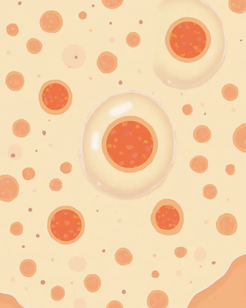 현미경으로 본 강아지 혈액 속 호중구 일러스트