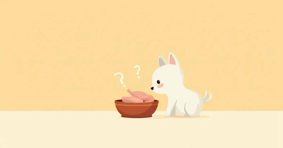 닭고기 알러지 증상과 대안