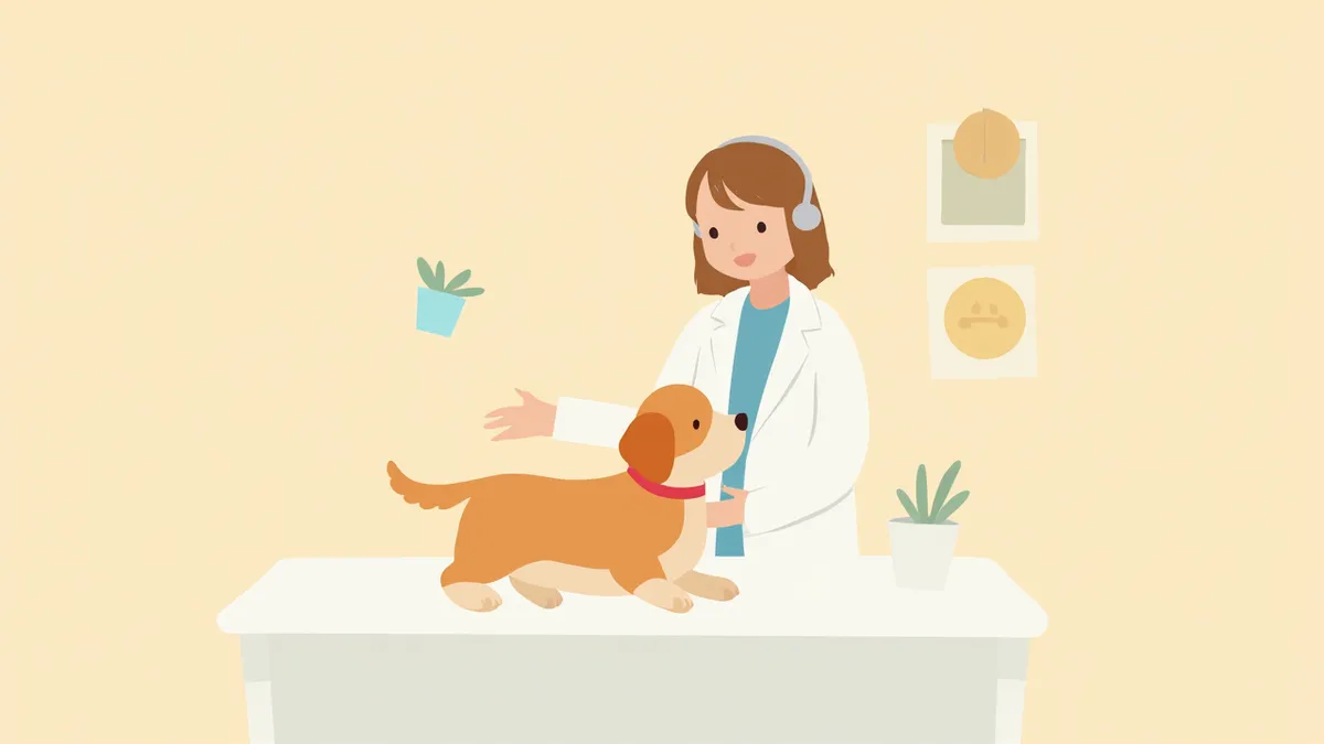 동물병원에서 진료를 받고 있는 강아지