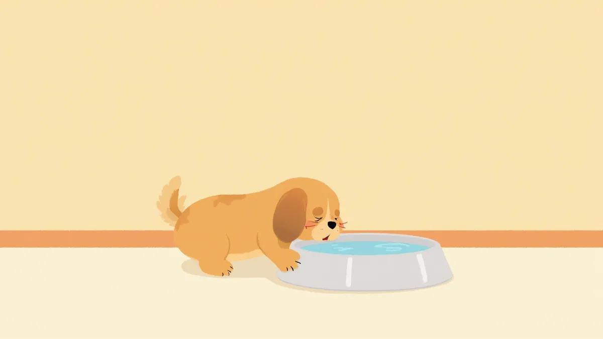 물을 많이 마시고 기력이 없는 강아지