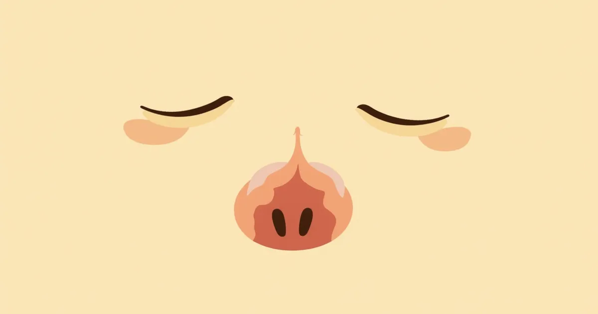 강아지 항문낭 관리 증상과 원인, 진단·치료와 관리 포인트 총정리