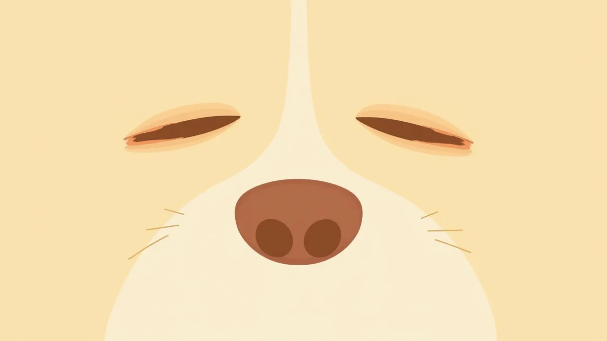 강아지 부신 종양의 해부학적 구조를 보여주는 이미지