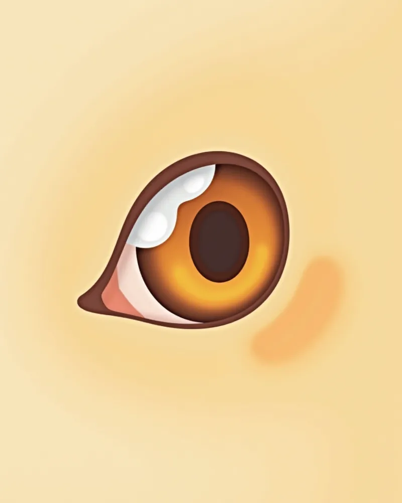 강아지 눈에 생긴 백내장 모습