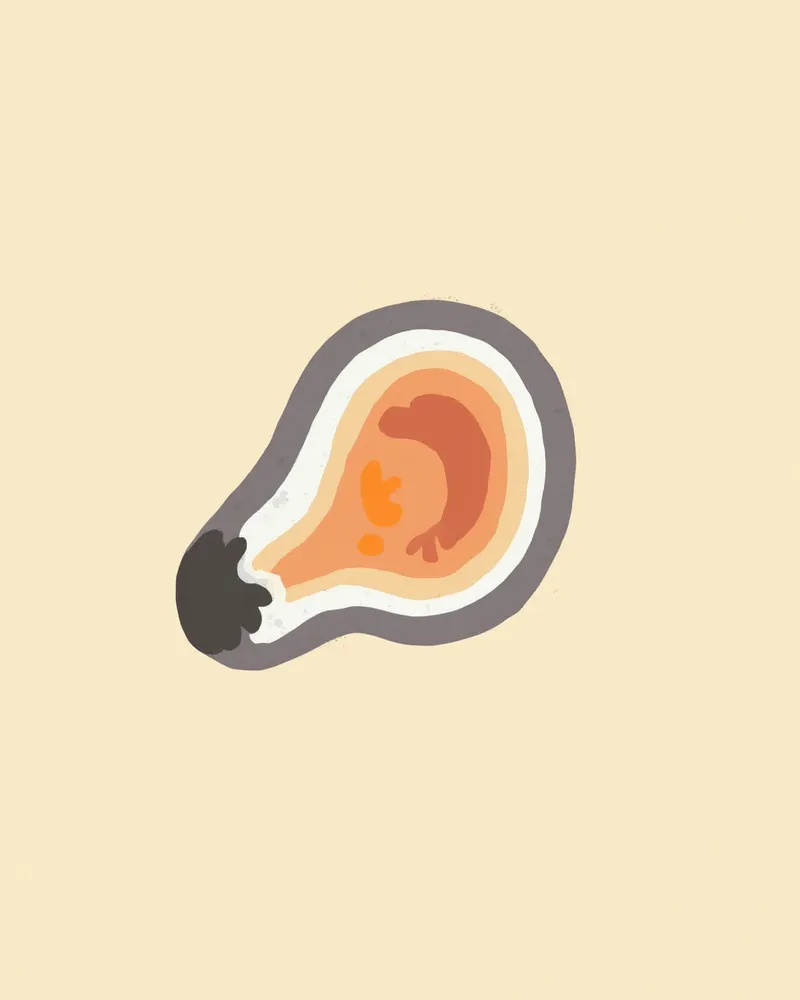 강아지 내이 전정기관 구조를 나타낸 일러스트