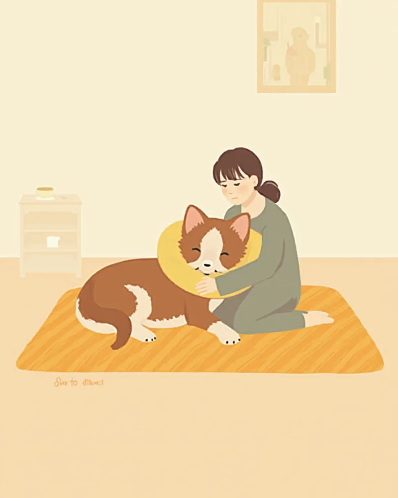 수술 후 회복 중인 강아지와 보호자