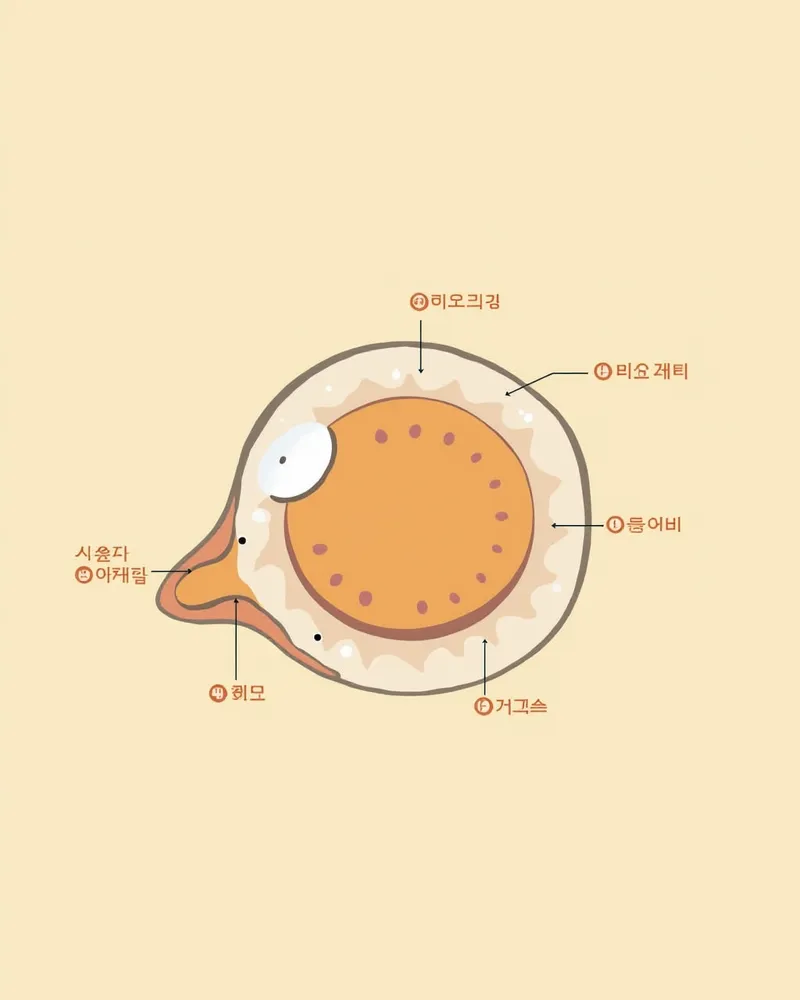 강아지 눈물 생성 경로와 장애 부위를 나타낸 다이어그램