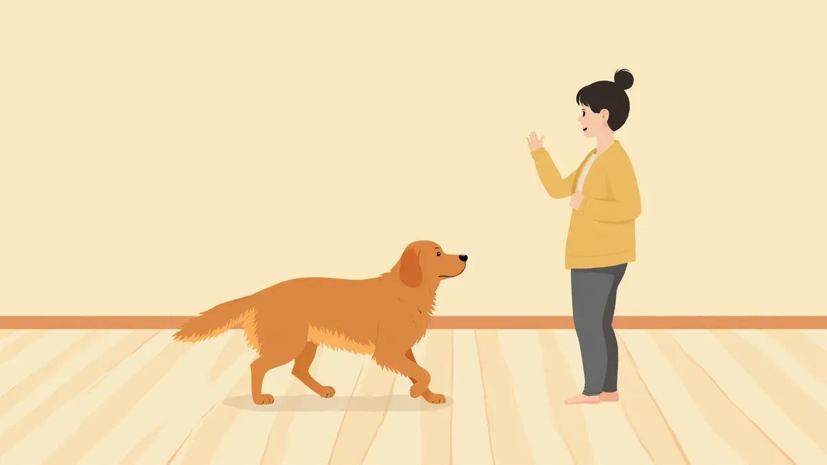 운동실조 증상으로 비틀거리는 강아지를 살피는 보호자